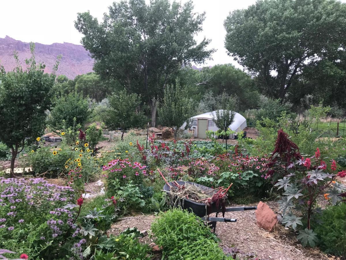 Red Moon Lodge Moab Buitenkant foto